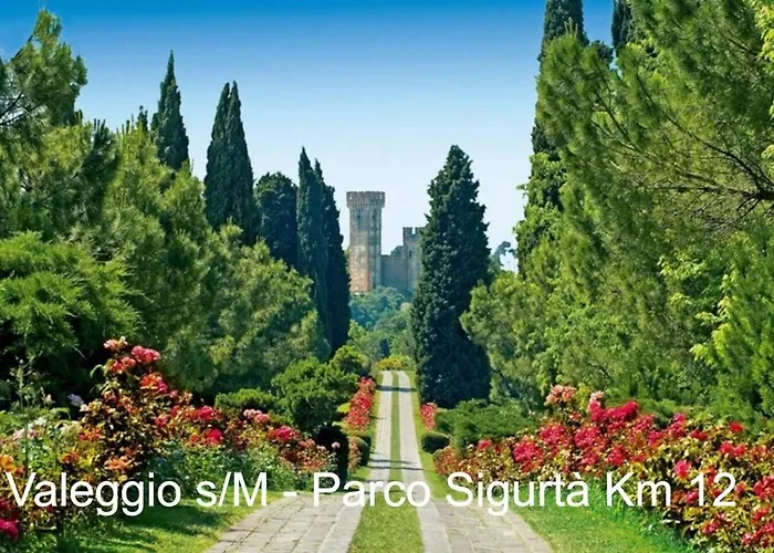 Al Numero 13 - Zona Clinica Pederzoli